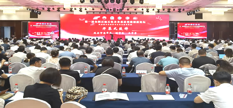 ��һ��ȫ��ʯ��ʯ����ҵ���㵳��������̳���Ӱ���Ļ