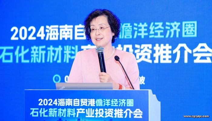 �й�����ԺԺʿ������������ʯ����ҵ���췢չҪ�������ϡ�