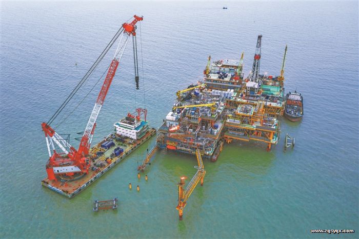 �׸����й�ʯ�ͽ��ɡ����塱ʽ����ƽ̨Ⱥ