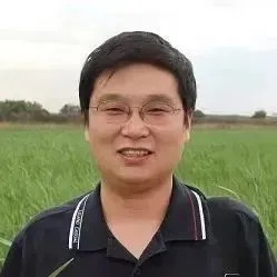 ������鴦���ݿ��������涨����᳹��ʵ��Ч