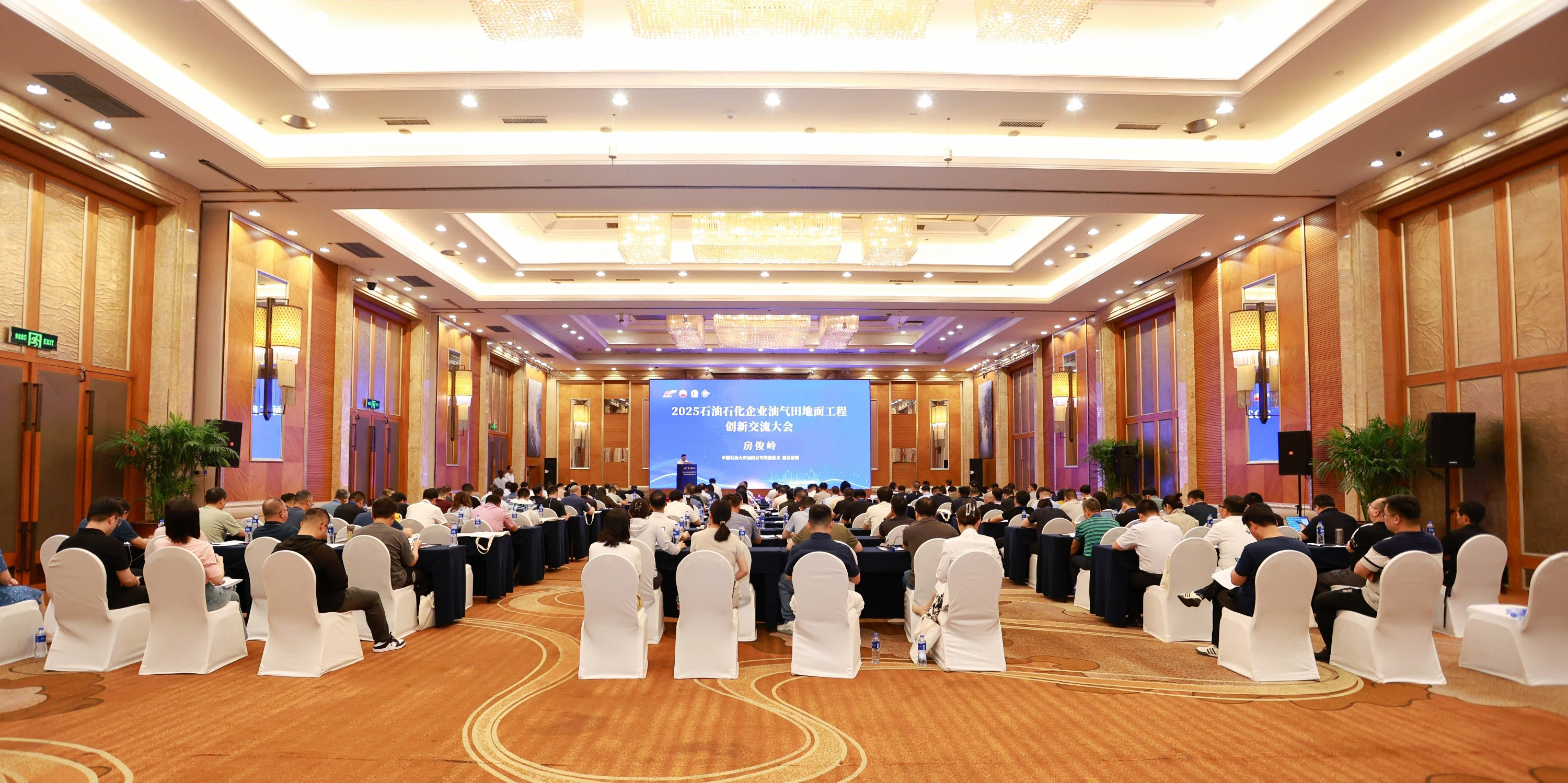 2025ʯ��ʯ����ҵ��������湤�̴��½������Բ����Ļ