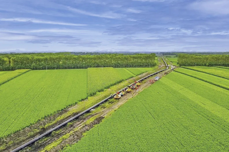 Ҷ���������֡��ػ��̻� ��ů���ҡ�Ʒ�Ƽ�ֵ׷�� ������˴�����չ����������