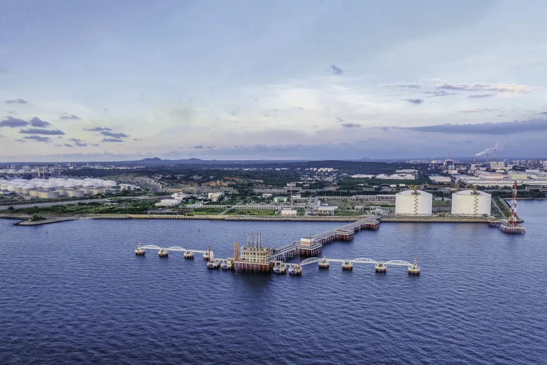 Ҷ���������֡��ػ��̻� ��ů���ҡ�Ʒ�Ƽ�ֵ׷�� ������˴�����չ����������