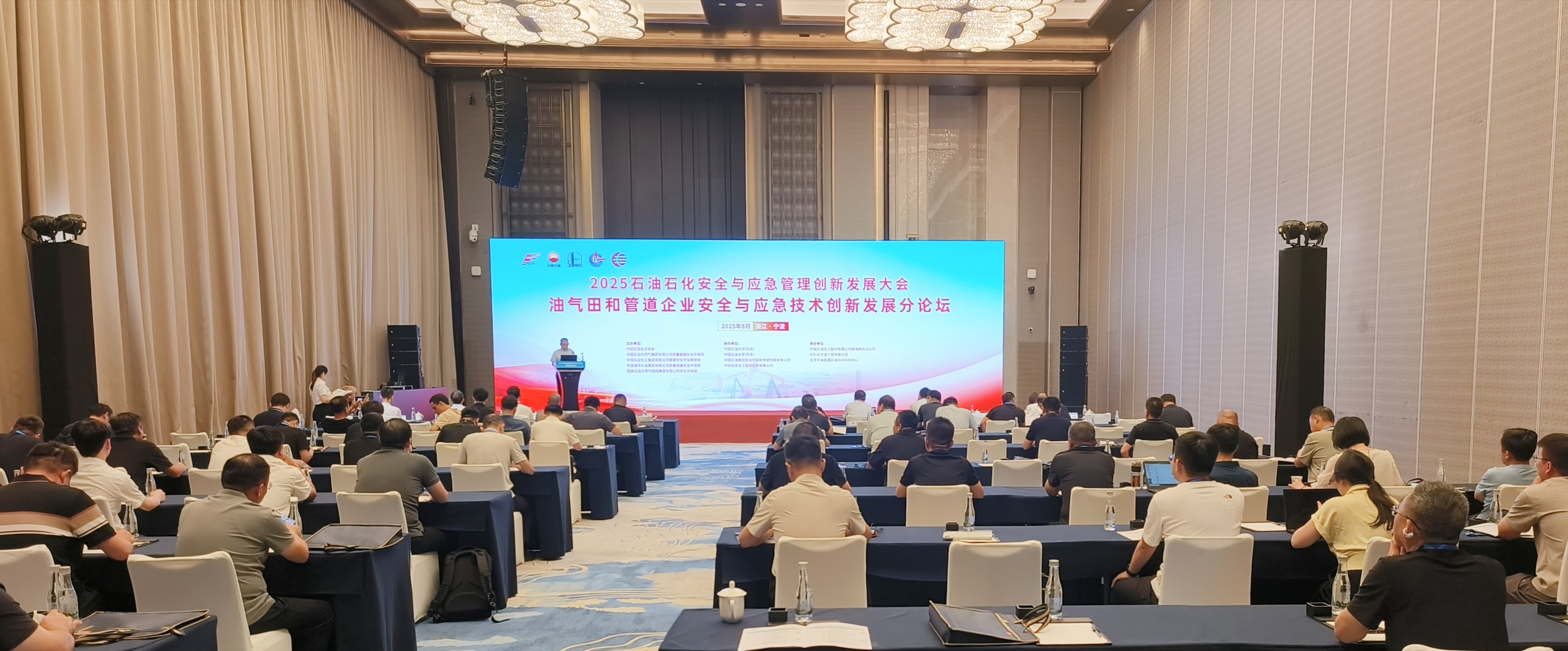 2025ʯ��ʯ����ȫ��Ӧ���������·�չ��������չ�