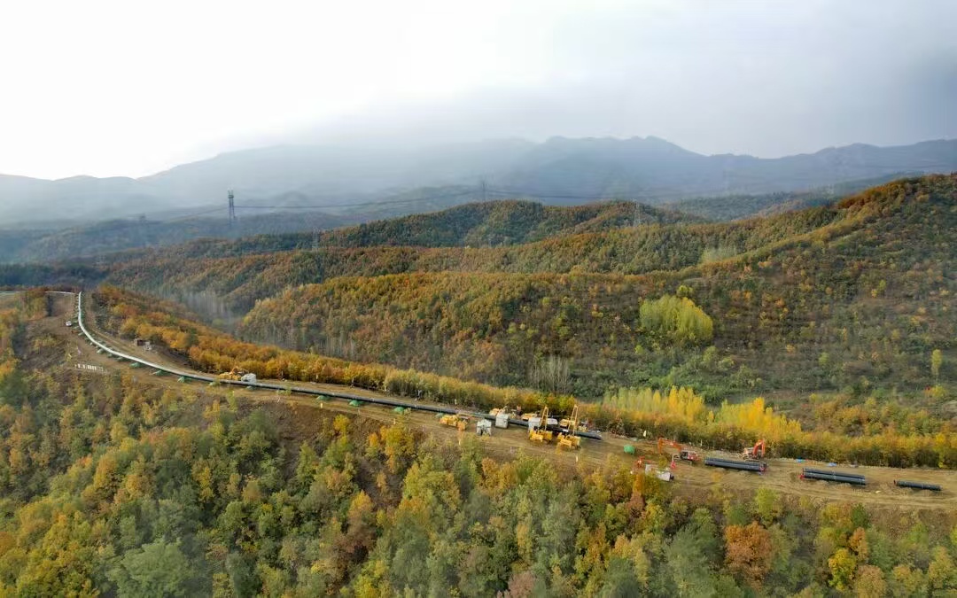 �������������ж������������ι�ͨͶ��