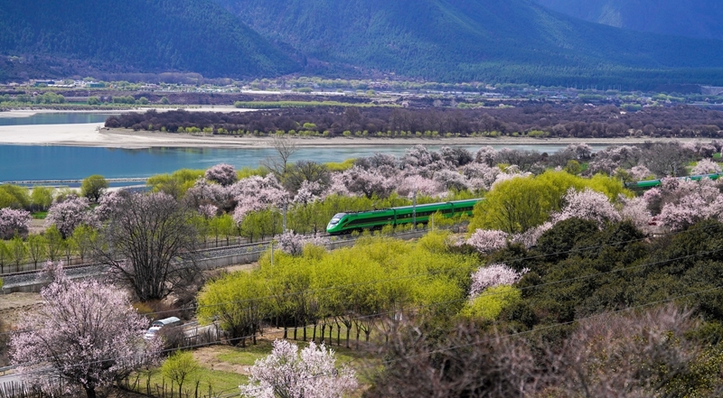 ȷ������ʵ����������ִ���ȡ�þ����Խ�չ����д�ڵ��Ķ�ʮ������ȫ���ٿ�֮��