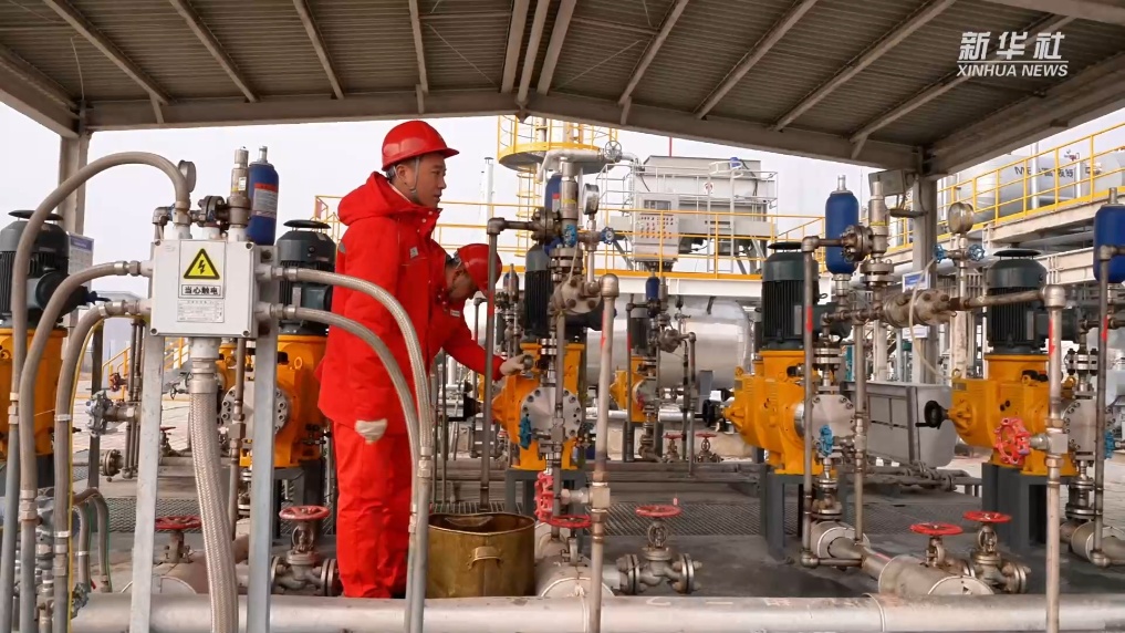 �ҹ�������⡰���ַ�����